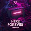 Jay G & Arnie - Here Forever (2022) [FLAC]