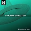 Jonas Steur - Storm Shelter (2024) [FLAC]