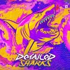 Detailed - Sharks (Edit) (2026) [FLAC]