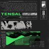 Tensal - Metaphysical Trauma (2025) [FLAC]