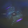 Amoss - Powder VIP (2026) [FLAC]