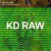 Dysfaction - Rhythm Echoes EP (2024) [FLAC]