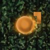 Pyxis, Luke Truth, Counter Culture - Surviving (2026) [FLAC]