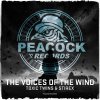 Toxic Twins, Stirex - The Voices Of The Wind (Edit) (2026) [FLAC]
