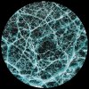 Jonas Kopp - Indigo System (2025) [FLAC]