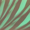 Arjun Vagale, Oxygeno - Zeeman Effect (2025) [FLAC]