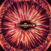 Silence. - Fulmination (Extended Mix) (2026) [FLAC]