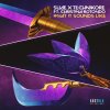 Suae, Technikore, Christina Rotondo - What It Sounds Like (2026) [FLAC]