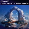 David Forbes, Key4050 - David Forbes Remix (2025) [FLAC]