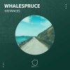 Whalespruce - Distances (2023) [FLAC]