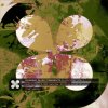 Submorphics, Zar, Aya Dia - Another Level Of Love (Trail Remix) (2025) [FLAC]