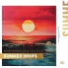 Noisecontrollers, The Pitcher - Summer Drops (Edit) (2025) [FLAC]
