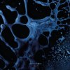Blazej Malinowski - Nocturnal Shadows (2026) [FLAC]