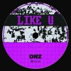 Drz - Like U (2026) [FLAC]