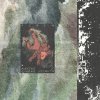 Visla - Maniac / Chrome Heights (2026) [FLAC]
