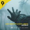 Lost Identity, Ruff Limits - Goodbye (Edit) (2024) [FLAC]