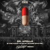 Dr. Apollo - If You Want To Rave (Dance With Me) (Euphonique Remix) (2024) [FLAC]