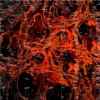 Html_ - SOLAR:TAPES (2026) [FLAC]