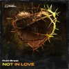 Point Break - Not In Love (Edit) (2025) [FLAC]