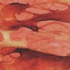 Drop-E - Empirical (2025) [FLAC]