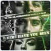Erabreak, Resilience, Nathalie Blue - Where Have You Been (Edit) (2026) [FLAC]