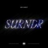 Ryan Audley - Surrender (2025) [FLAC]