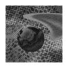 Joline Scheffler - Internal Fomo Kompass (2024) [FLAC]