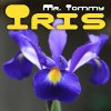Mr. Tommy - Iris (2017) [FLAC]