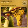Richard Durand - Muratie (2026) [FLAC]