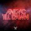 Andy C - Till Dawn (2019) [FLAC]