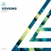 Vovking - Echo (2023) [FLAC]