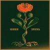 Rueben - Special EP (2026) [FLAC]
