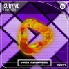 Hyperion - Survive (Edit) (2022) [FLAC]