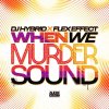 Dj Hybrid, Flex Effect - When We Murder Sound (2026) [FLAC]