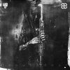 2Whales - Troubadour (2025) [FLAC]
