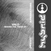 Valo - Behind The Trees (2024) [FLAC]
