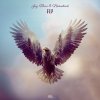 Jay Reeve, Noiseshock - Fly (Edit) (2025) [FLAC]