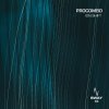Procombo - Ion Shift (2026) [FLAC]