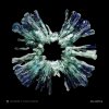 Nickbee, Tom Finster - Atlantika (2025) [FLAC]