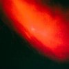 The Deviantt - Red Before Dawn (2026) [FLAC]