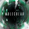 Molecular - Culture EP (2022) [FLAC]
