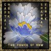 Captain Hook - The Power of Now (Shayman Remix) (2026) [FLAC]