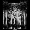 Proxima - Rumination (2020) [FLAC]