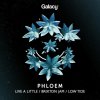 Phloem - Live A Little (2023) [FLAC]
