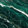 Soul Connection - You Make Me High / Take You There (2026) [FLAC]