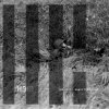 Cam Lasky - ANGEL DOWN: ELAN (2026) [FLAC]