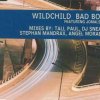Wildchild & Jomalski - Bad Boy (1998) [FLAC]