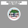 Dream Your Dream - Goes Trouble (2017) [FLAC]