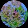 Etari - Ascending (2022) [FLAC]