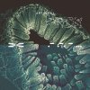 Dbfb - Bare Roots EP (2025) [FLAC]